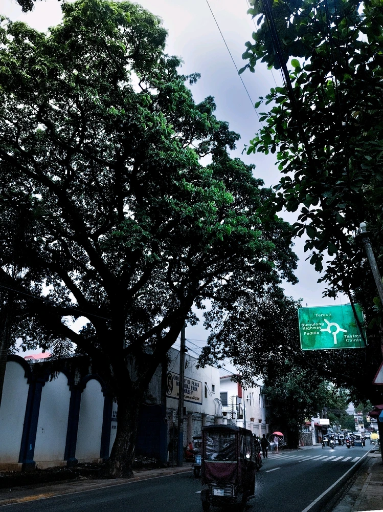 Image uploaded by Lizzie