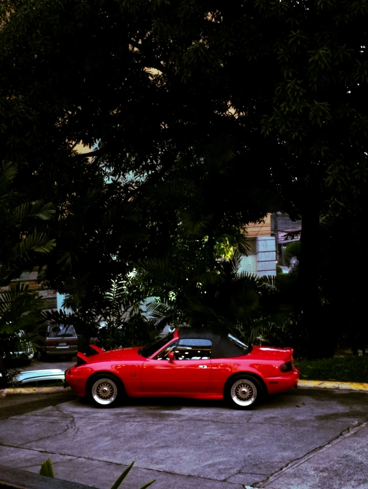 Image uploaded by Lizzie