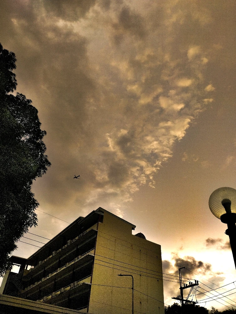 Image uploaded by Lizzie