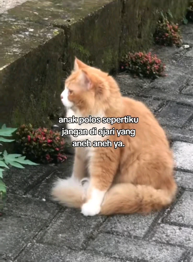 GIF diunggah oleh Putri