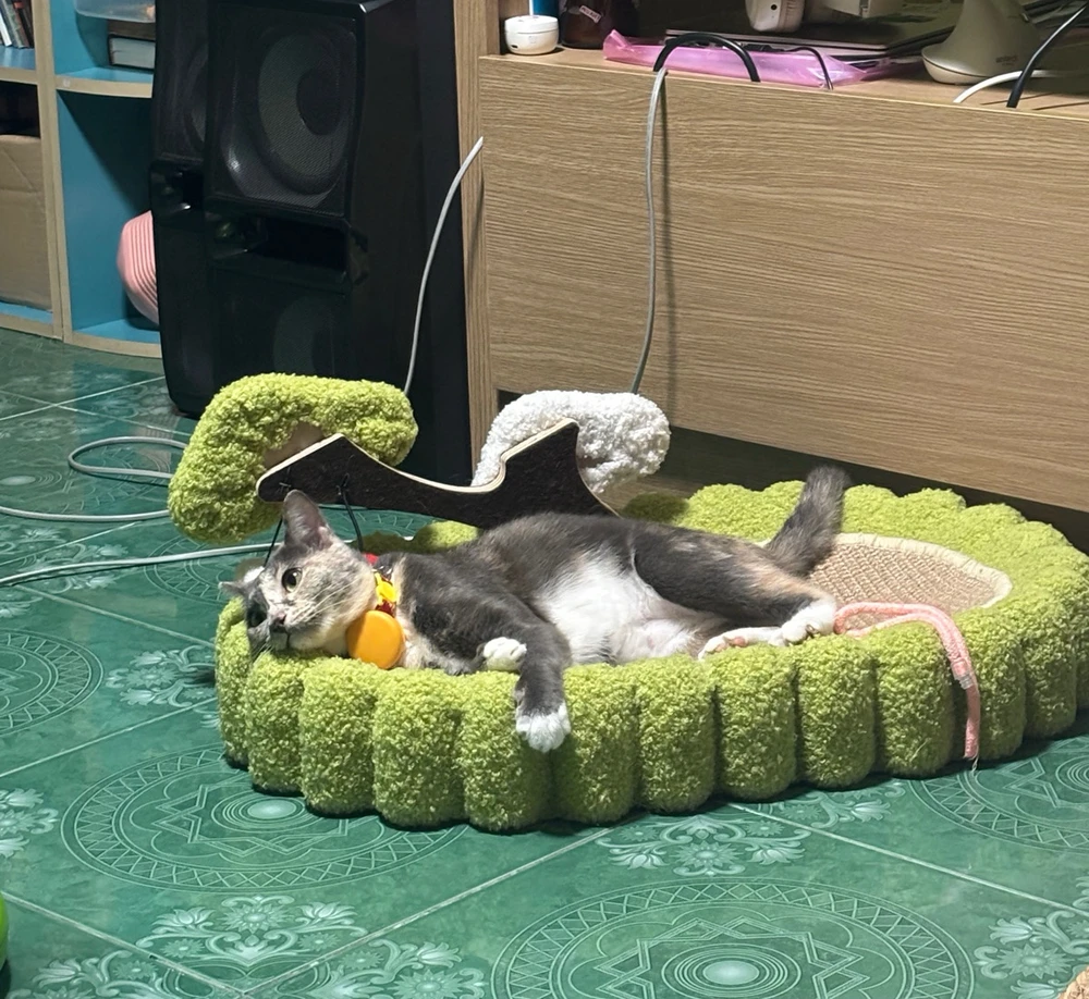 GIF uploaded by Pat♡