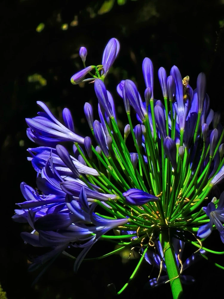 Zdjęcie dodane przez Anita