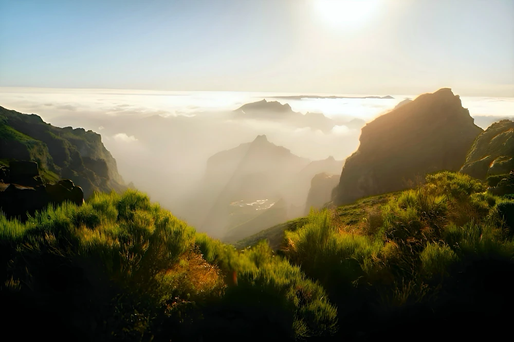 Zdjęcie dodane przez Anita