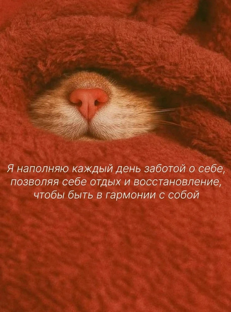 GIF загрузил Juliya