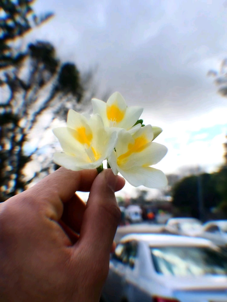 รูปที่อัพโหลดโดย Aum