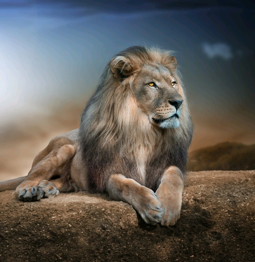 تصویر آپلود شده توسط amir