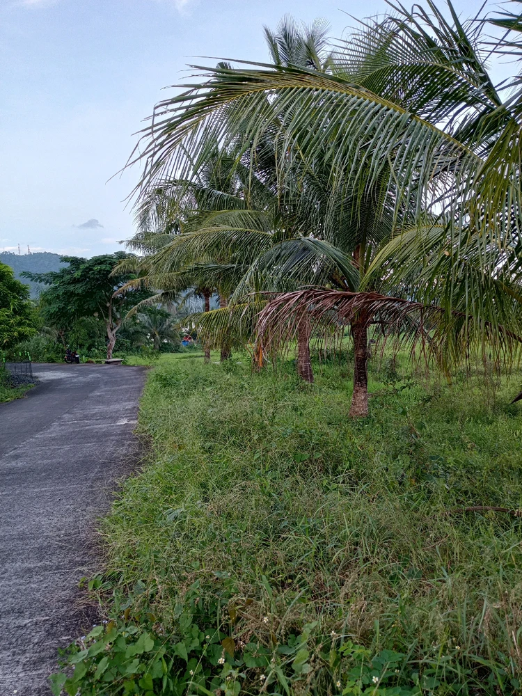 Image uploaded by Ann