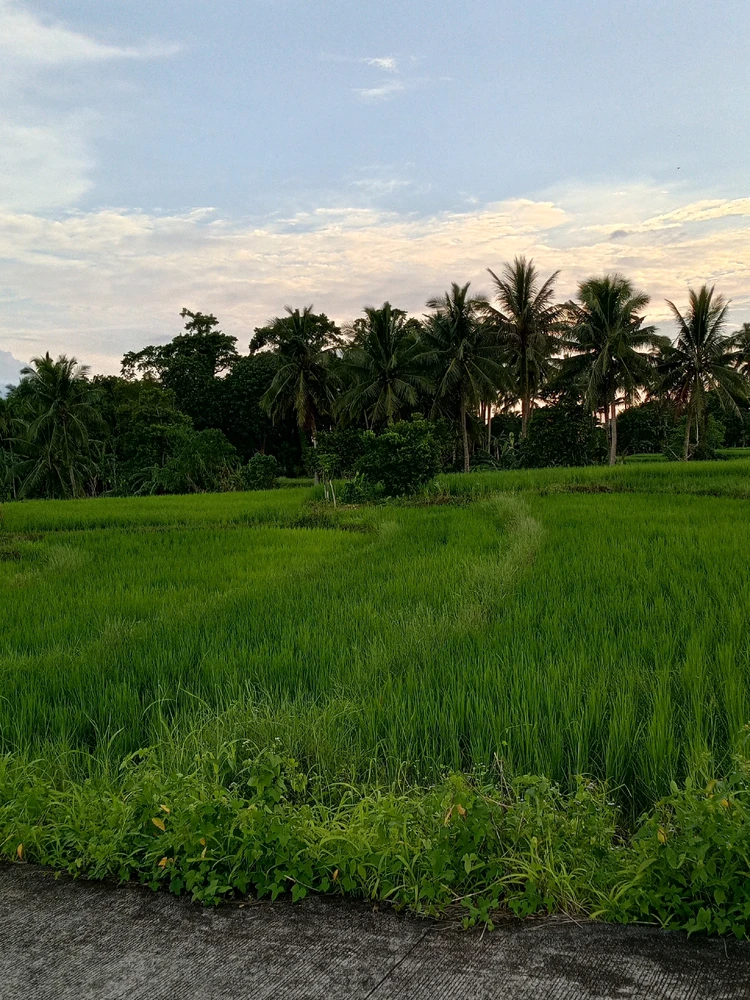 Image uploaded by Ann