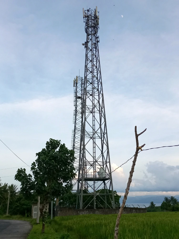 Image uploaded by Ann