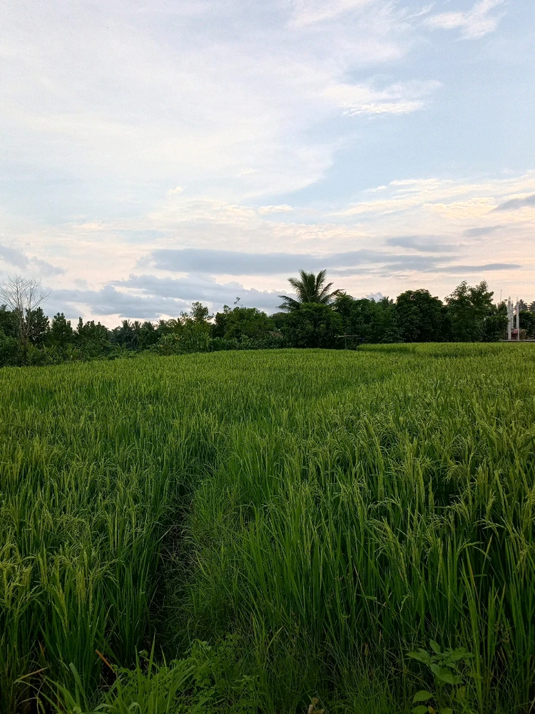 Image uploaded by Ann