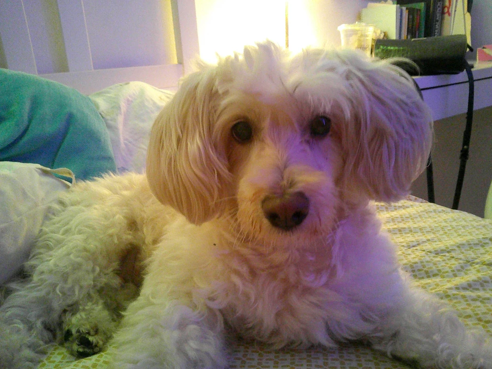 GIF uploaded by Mabel