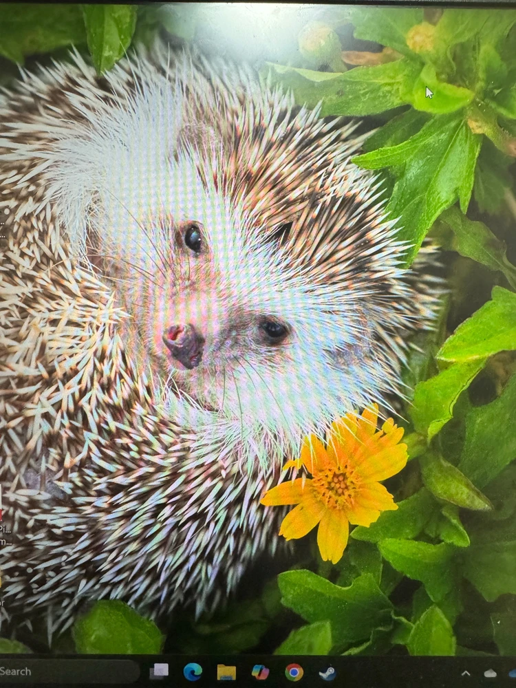 GIF uploaded by Grace