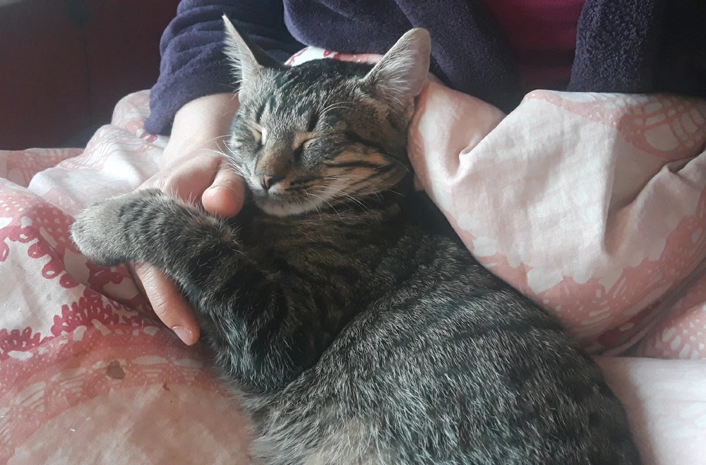 GIF hochgeladen von Marron