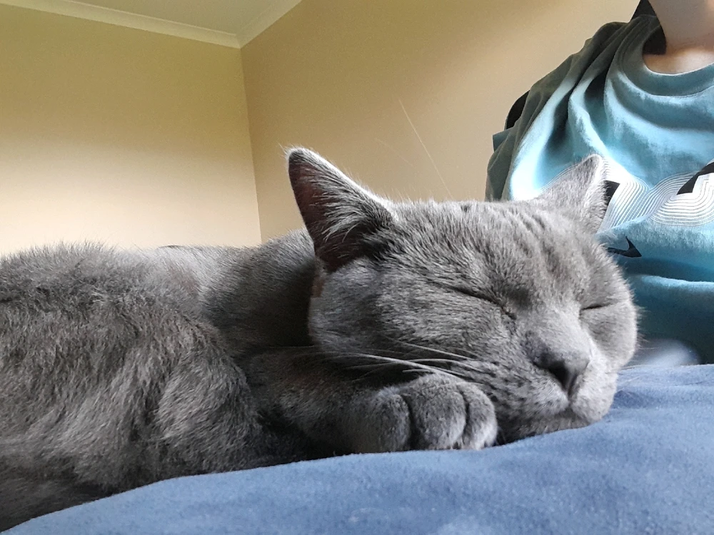 GIF uploaded by Jesse