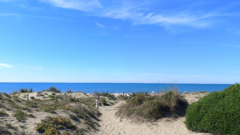 GIF caricata da Tiziana