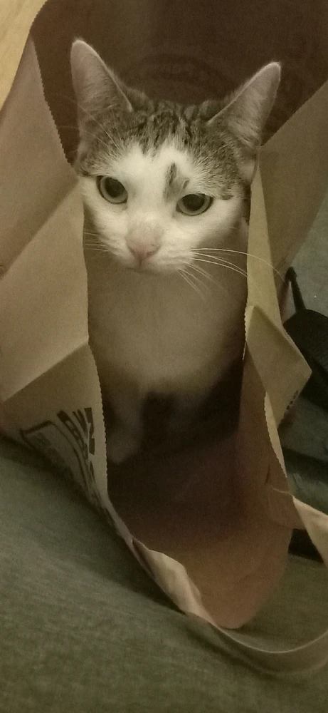 Davidがアップロードした画像