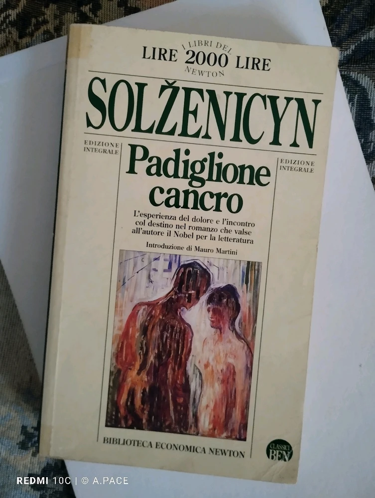 Immagine caricata da Alessandro | alpacigno