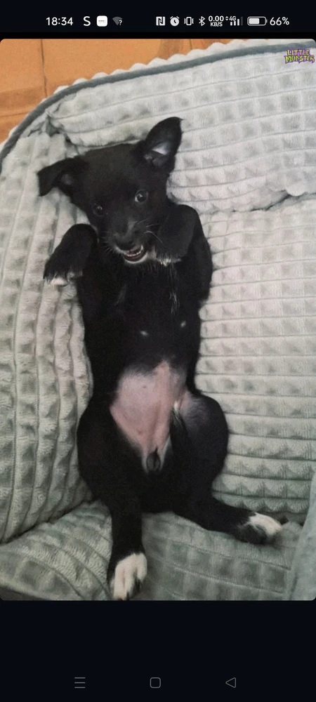 GIF caricata da Filippo