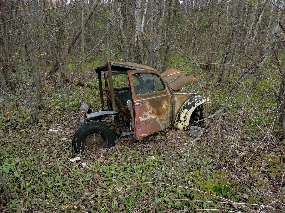 A really old forest car (didn't know they grew on trees).