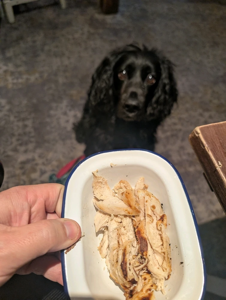 Image uploaded by Iain