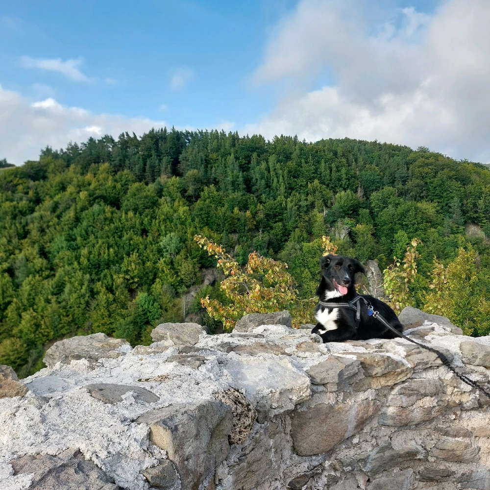 Image uploaded by Patrik