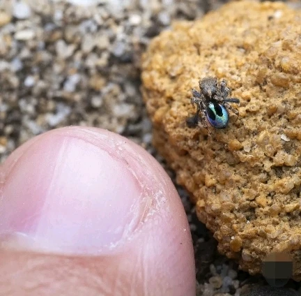 Immagine caricata da CX