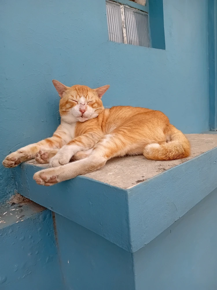 GIF diunggah oleh Noeralia