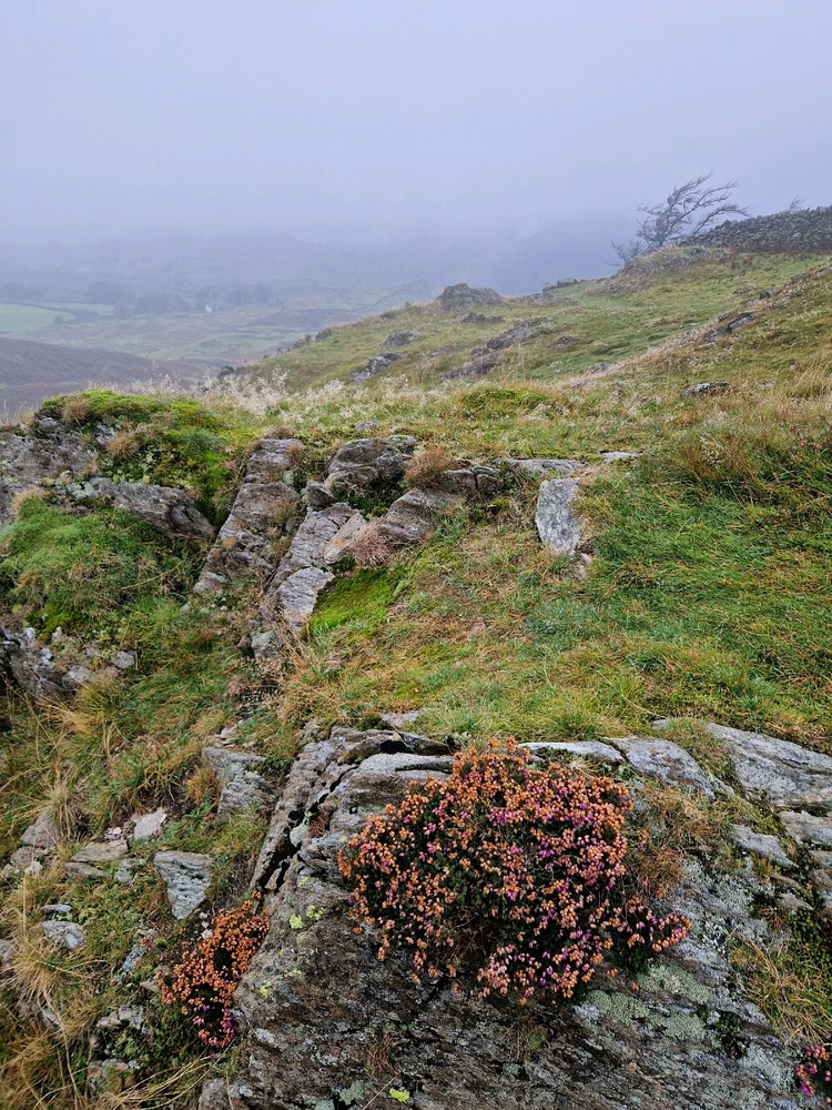 Image uploaded by Dave