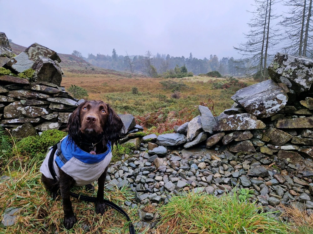 Image uploaded by Dave