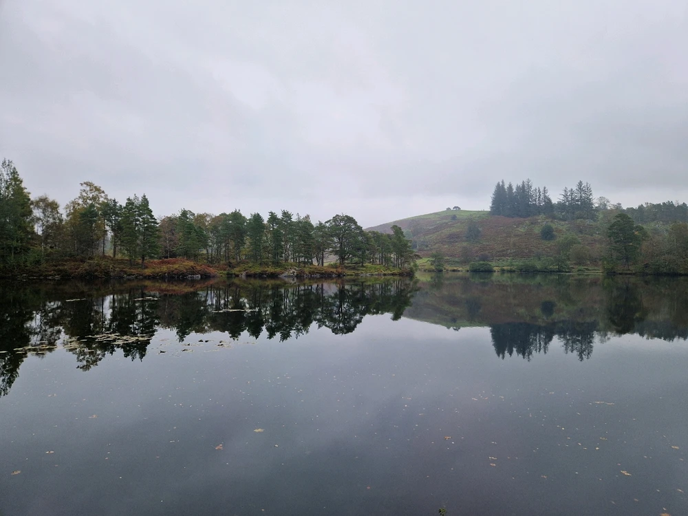 Image uploaded by Dave