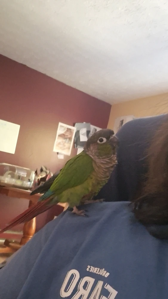 GIF ajouté par Maxime