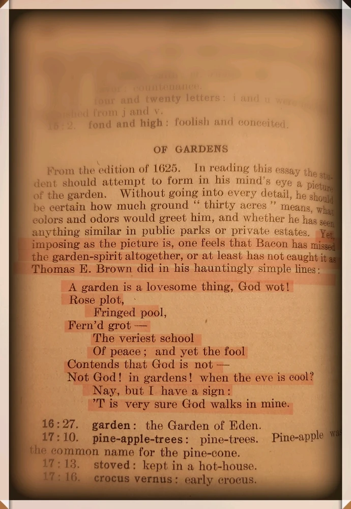 Acclamation of the Divine