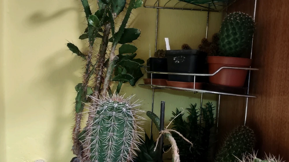 Obrázek nahrál zero