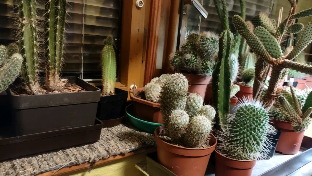 Obrázek nahrál zero