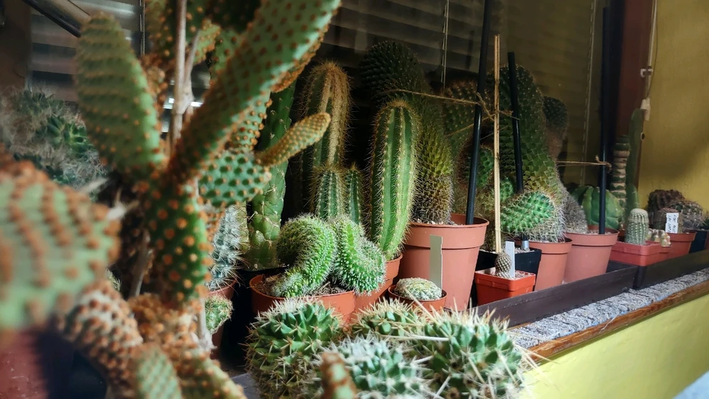 Obrázek nahrál zero