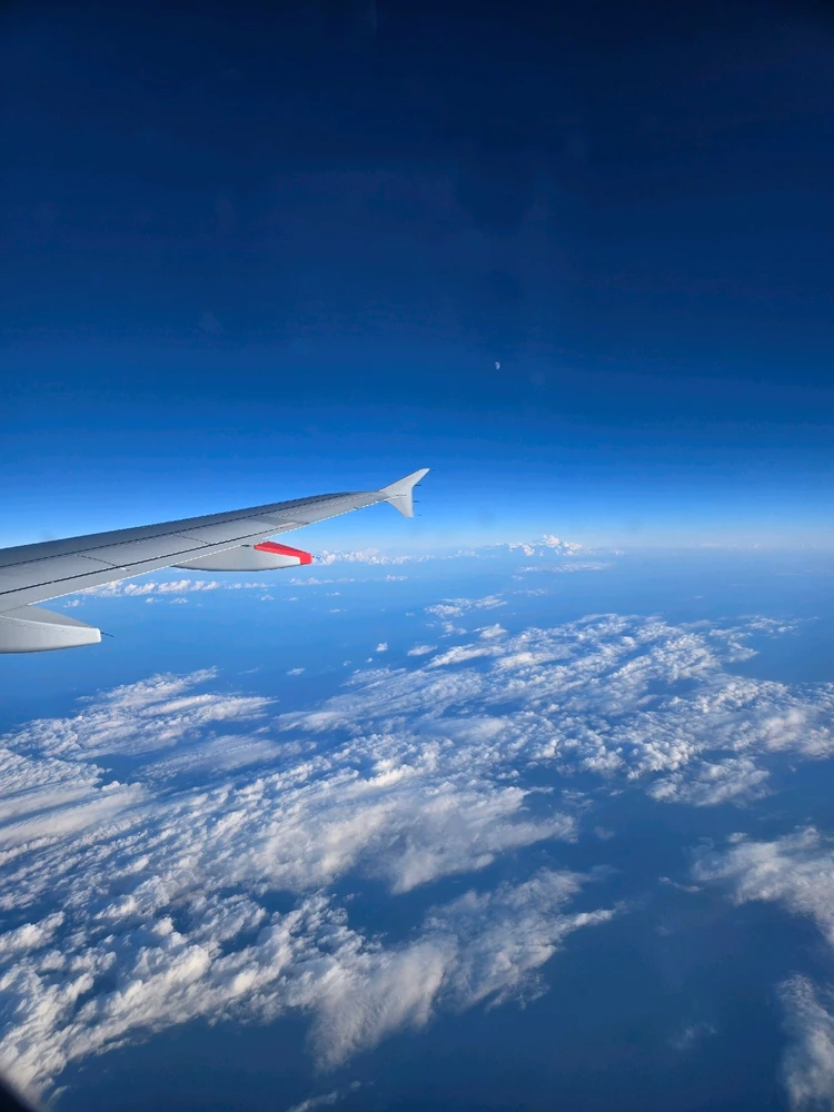 Image uploaded by Airyn