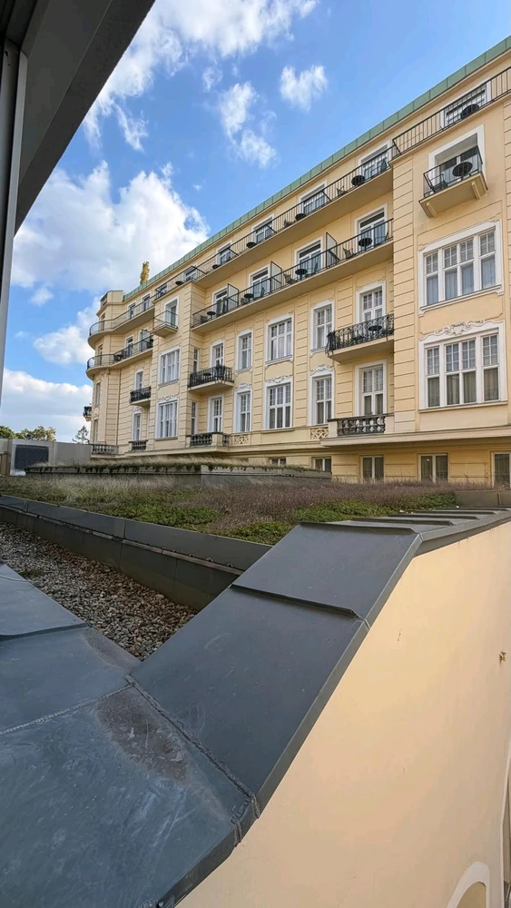 Image uploaded by Airyn