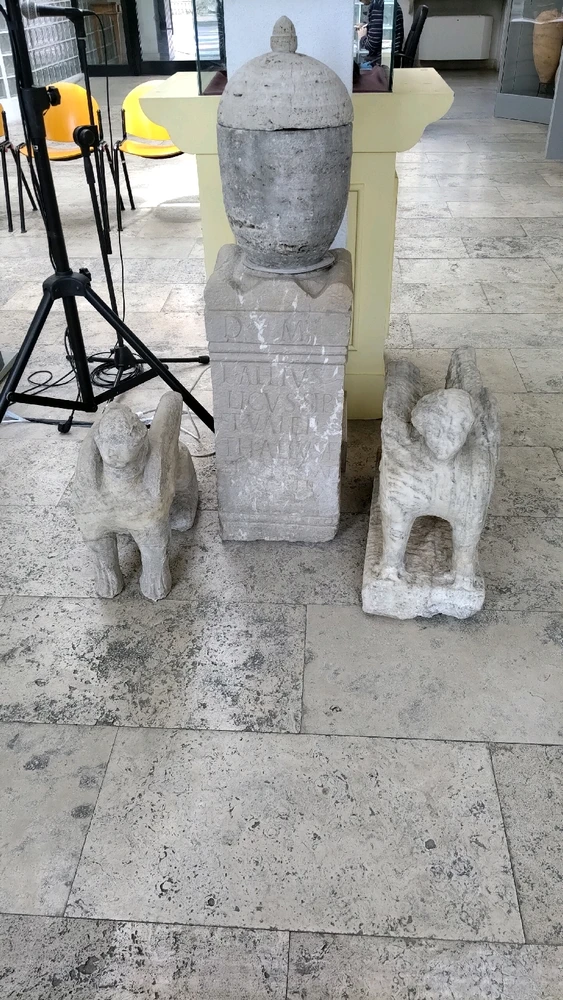 Immagine caricata da Salvatore