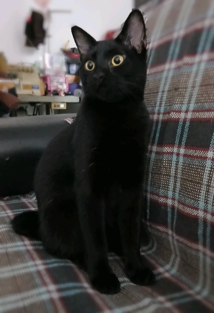 GIF enviado por Paula Kristine