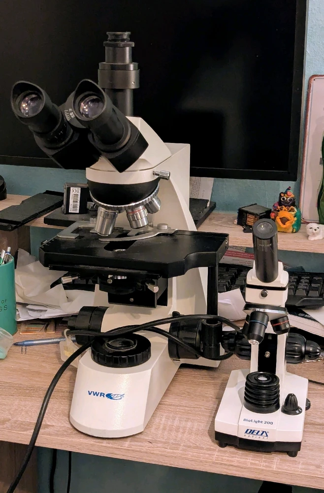 GIF dodany przez Agata J.