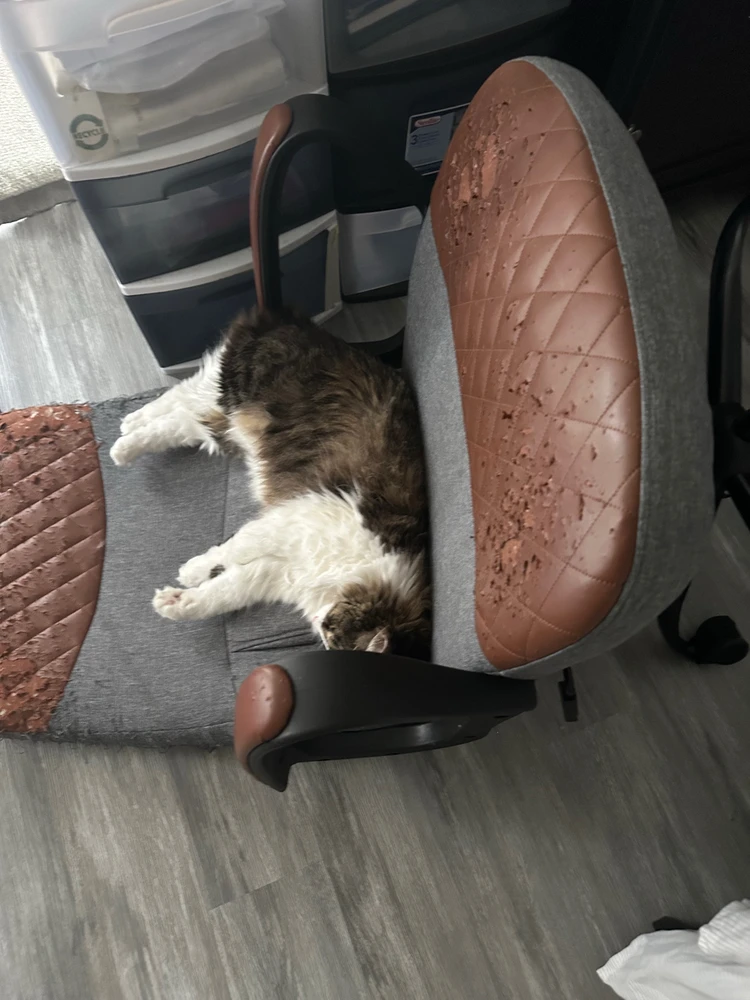 GIF uploaded by Tyler