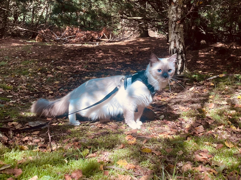 Image uploaded by David