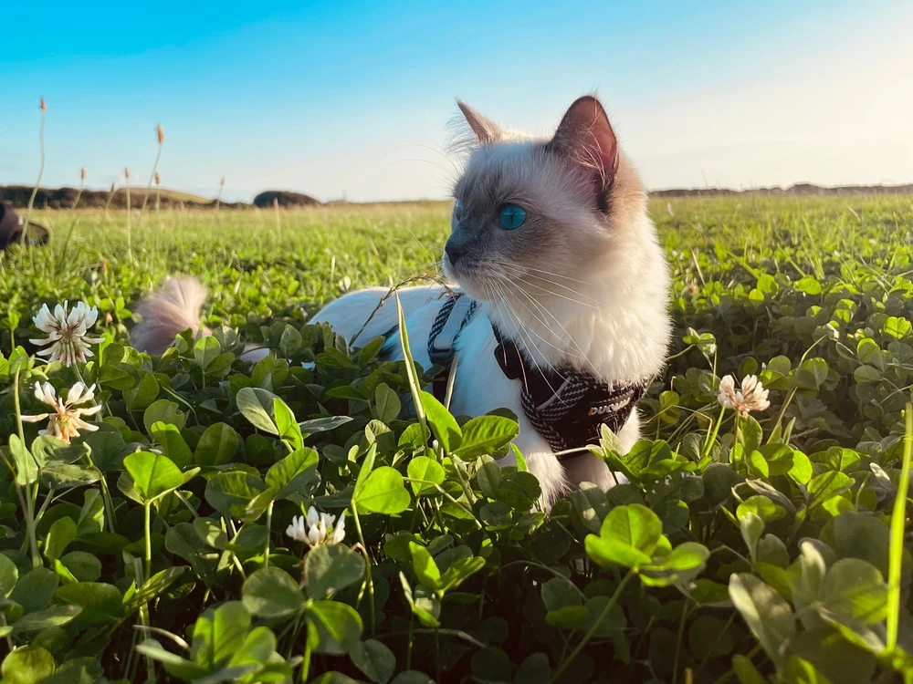 Image uploaded by David