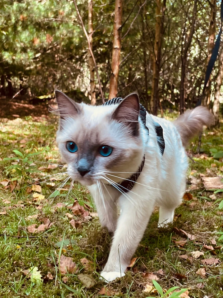 Image uploaded by David