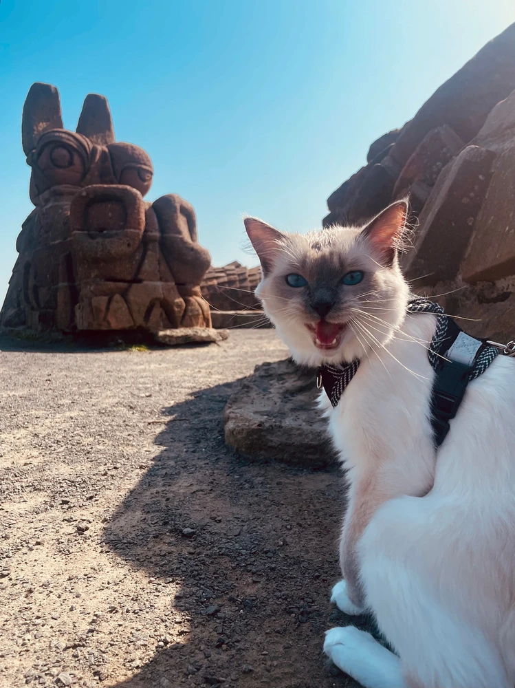 Image uploaded by David