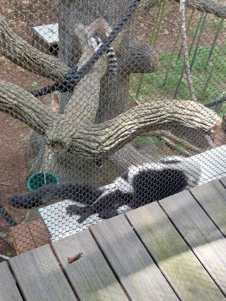 GIF uploaded by Jonathan