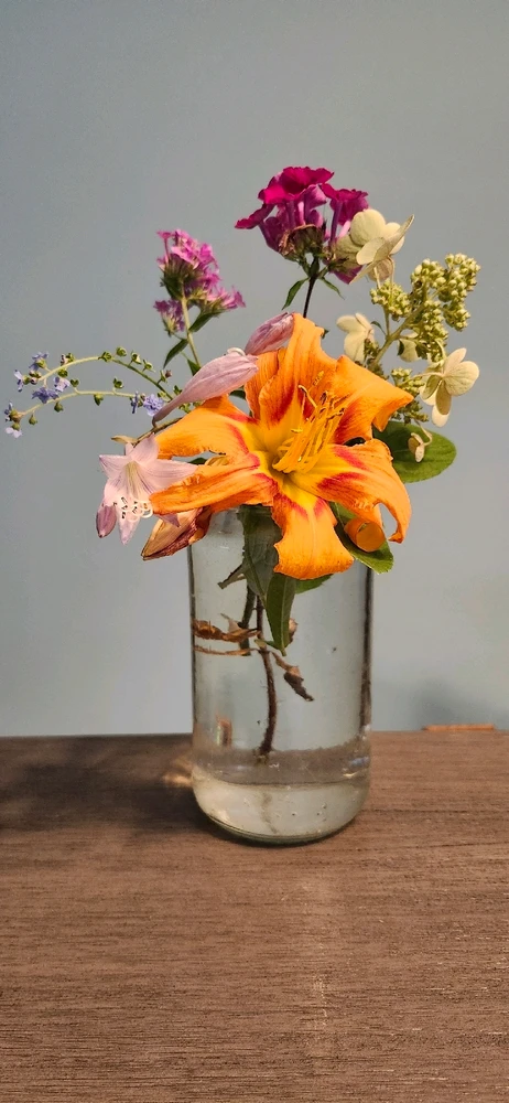 Vase of flowers, specifically, Day Lily, Phlox, Forget me nots, Rose of Sharon, Hosta, and Hydrangeas.