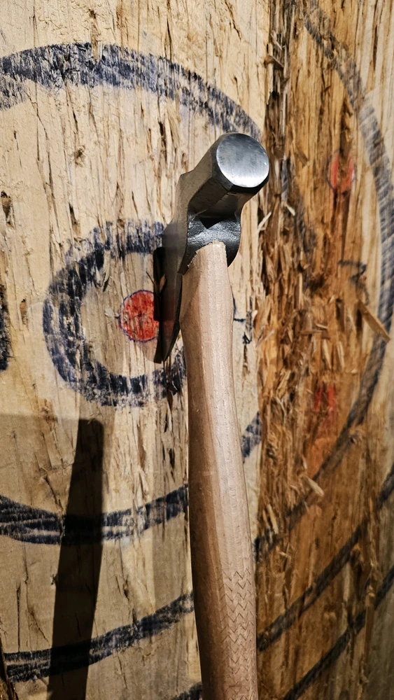 Image uploaded by Moisès