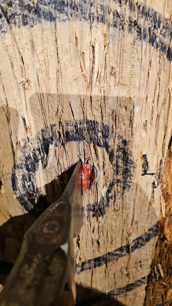 Image uploaded by Moisès