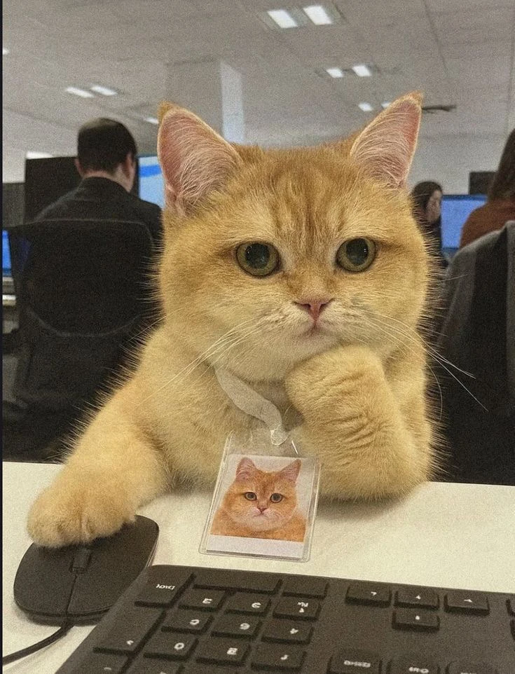 GIF uploaded by Dana